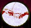 contact.gif (11045 bytes)